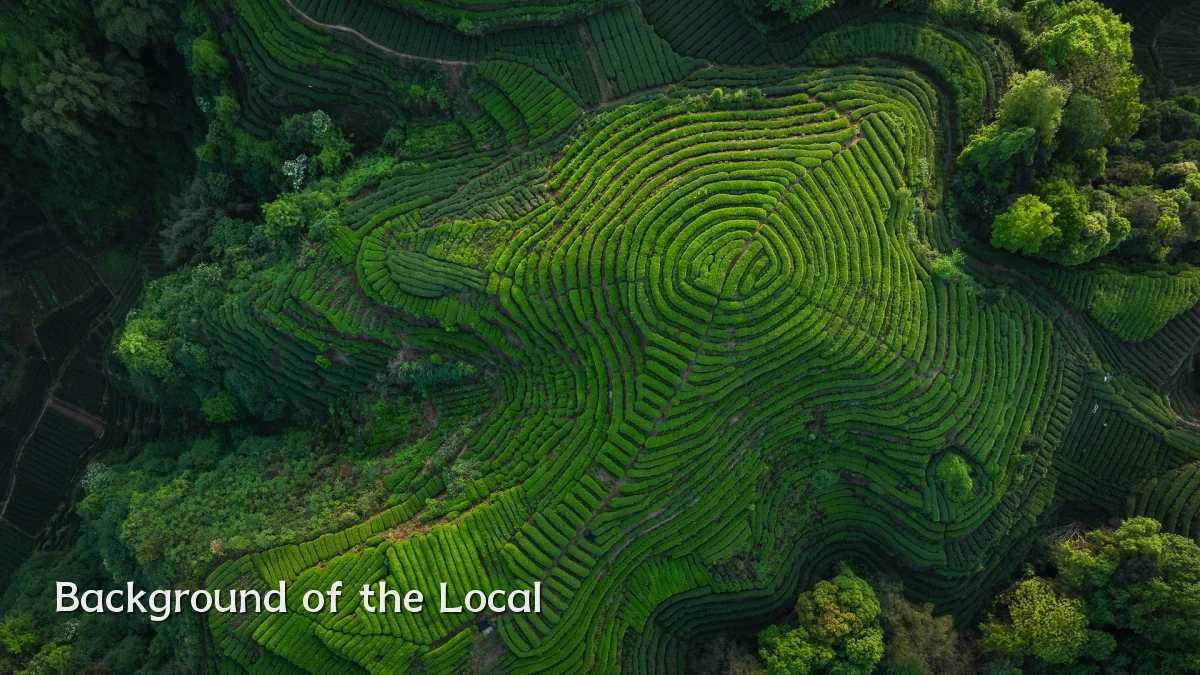Background of the Local