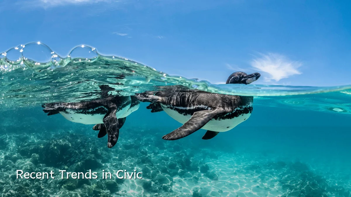 Recent Trends in Civic