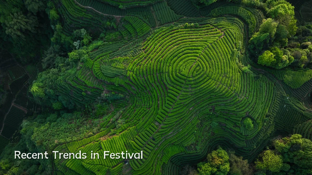 Recent Trends in Festival