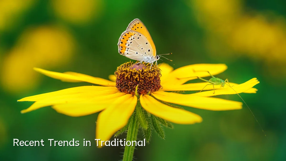 Recent Trends in Traditional