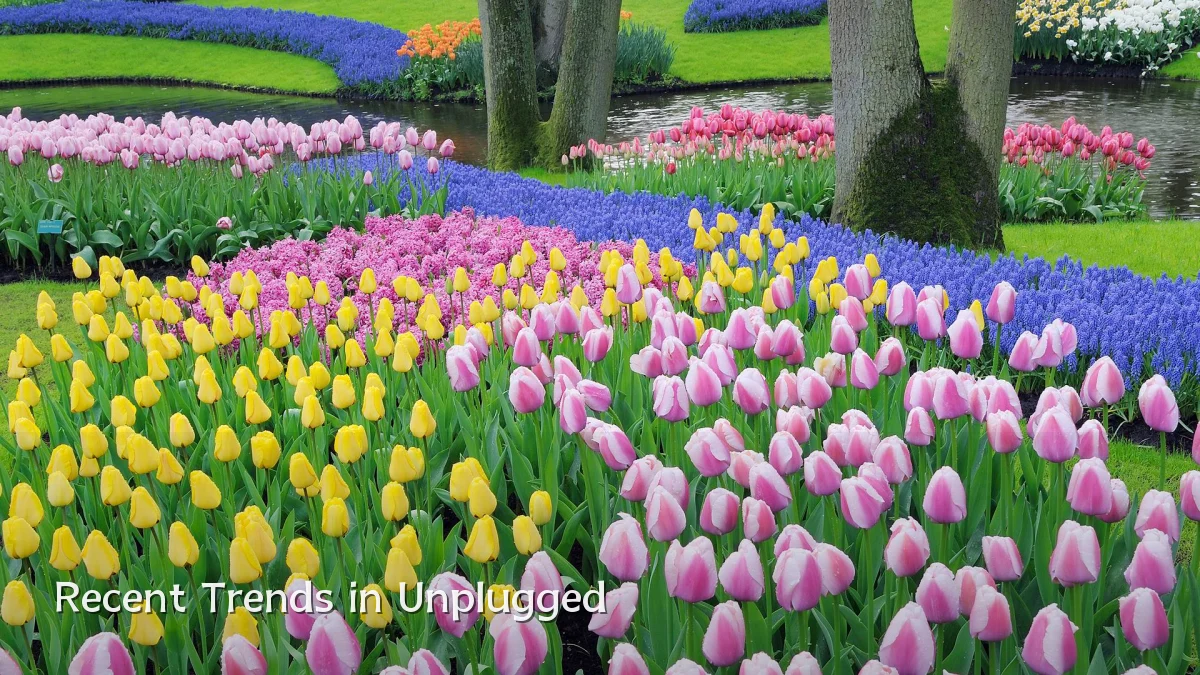 Recent Trends in Unplugged