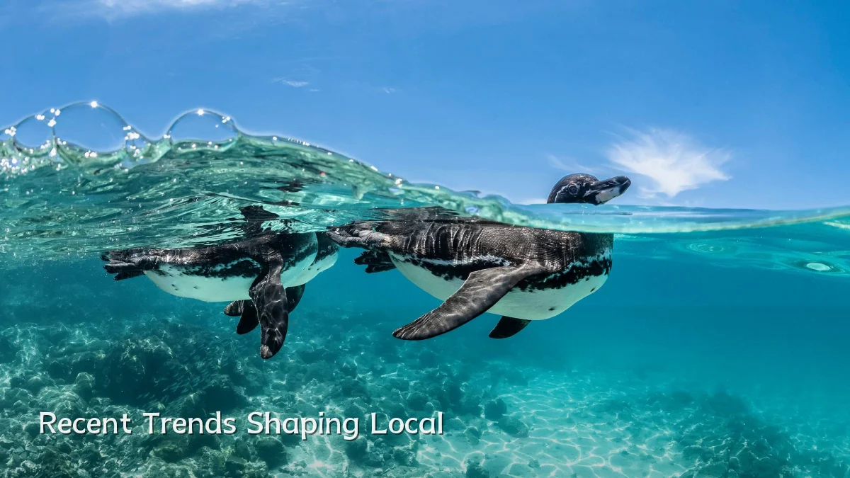 Recent Trends Shaping Local
